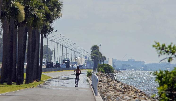A cyclist rides along the pedestrain trail that paralels traffic on the Courtney Campbell Causeway. A cyclist rides along the pedestrain trail that paralels traffic on the Courtney Campbell Causeway.