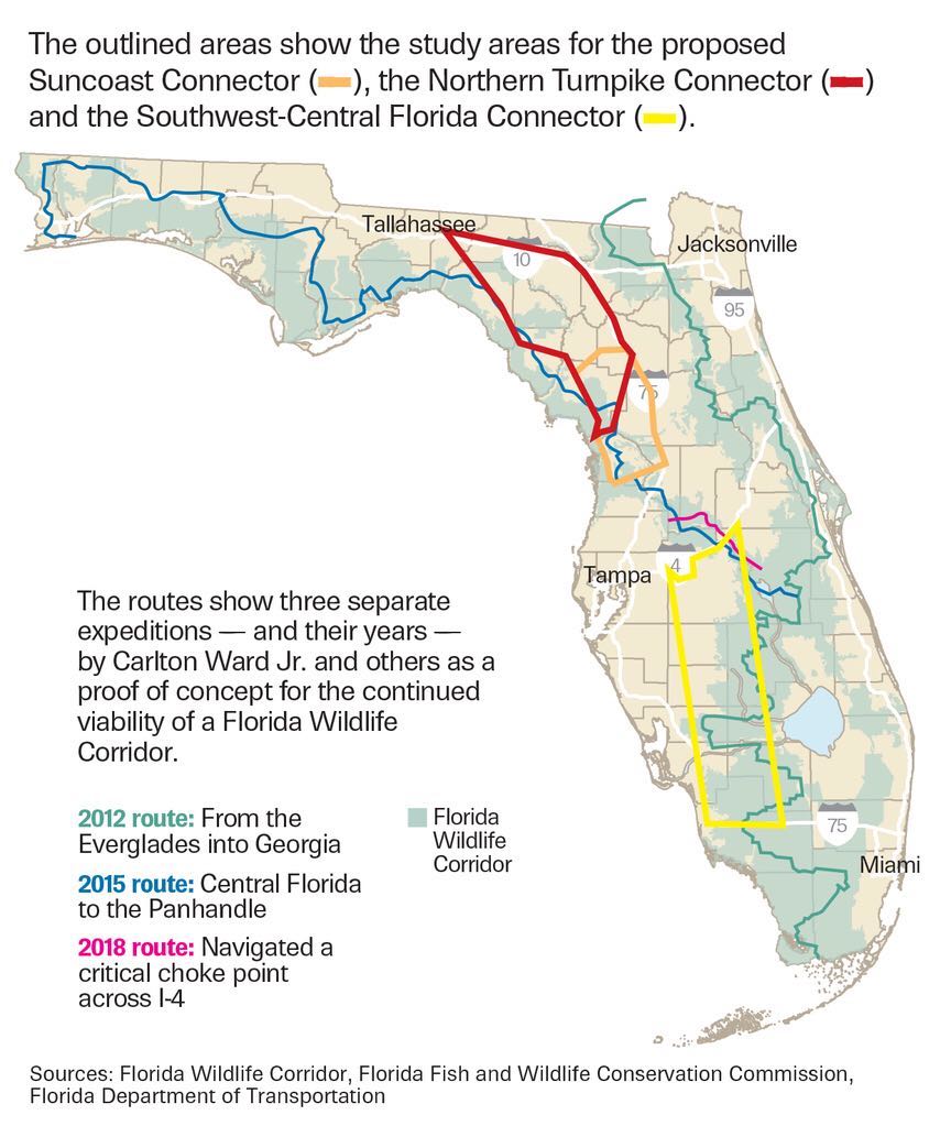 Graphic of Florida Wildlife Corridors. Tampa Bay Times Graphic of Florida Wildlife Corridors. Tampa Bay Times