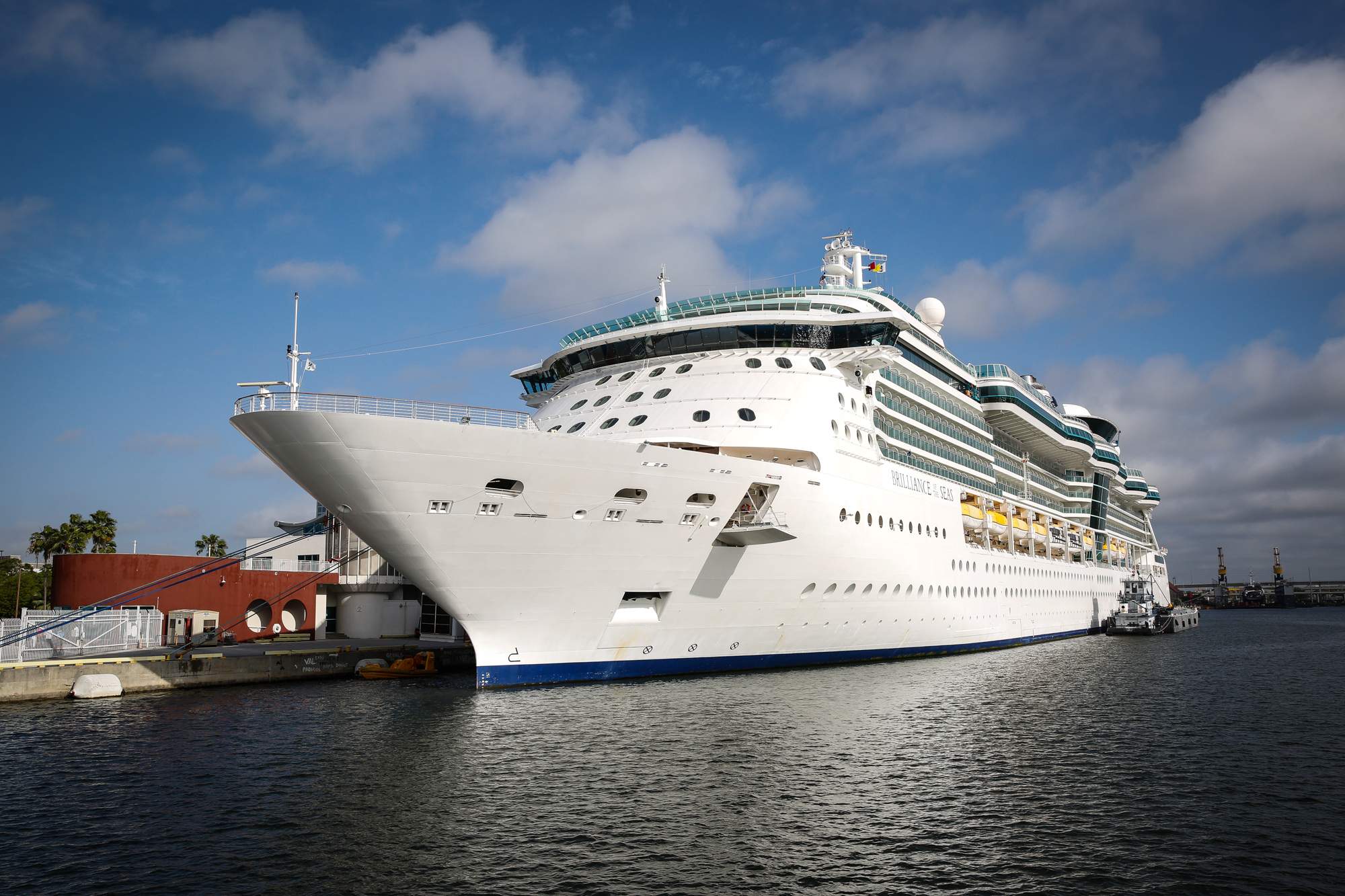 emotional support animals on cruise ships