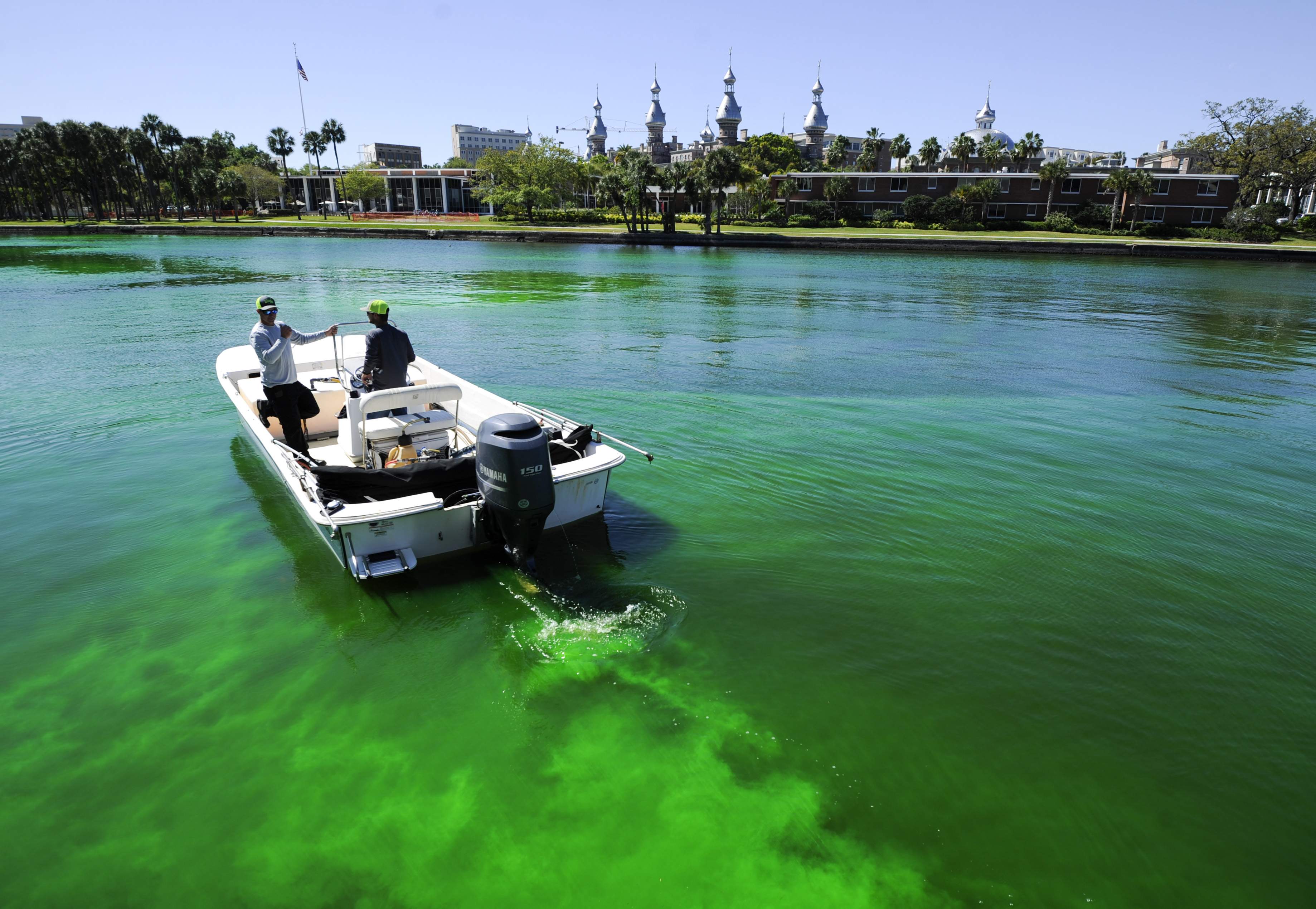 Parties Parades Pub Crawls And More For St Patrick S Day In
