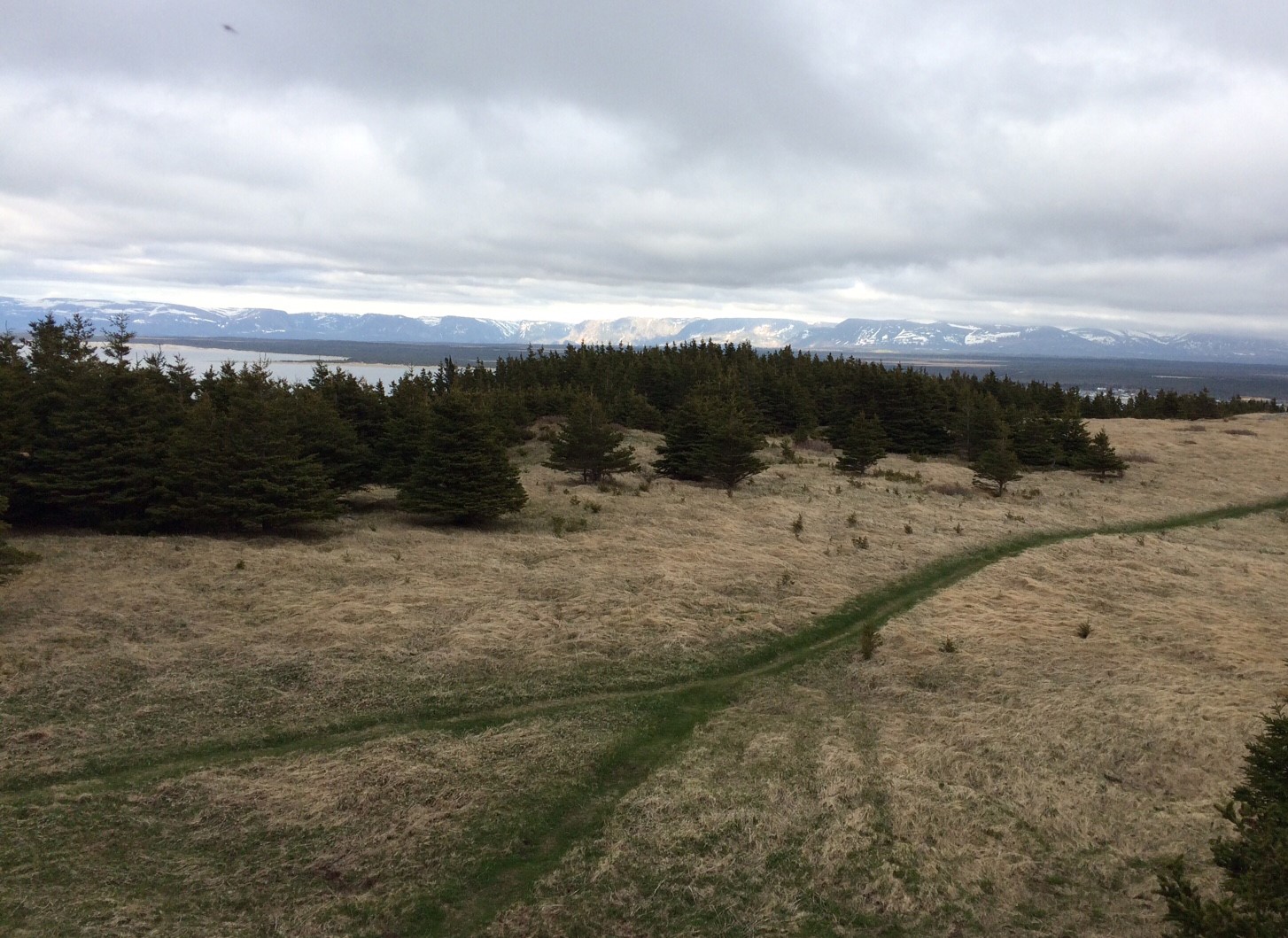 The Lighthouse Trail in Cow Head offered one of Newfoundland's best panoramic views of the Long Range Mountains. The trail leads to a rock outcropping called Big Hill and continues to an outdatedlighthouse. Gail Diederich | Gail Diederich | Special to the Times The Lighthouse Trail in Cow Head offered one of Newfoundland's best panoramic views of the Long Range Mountains. The trail leads to a rock outcropping called Big Hill and continues to an outdatedlighthouse. Gail Diederich | Gail Diederich | Special to the Times