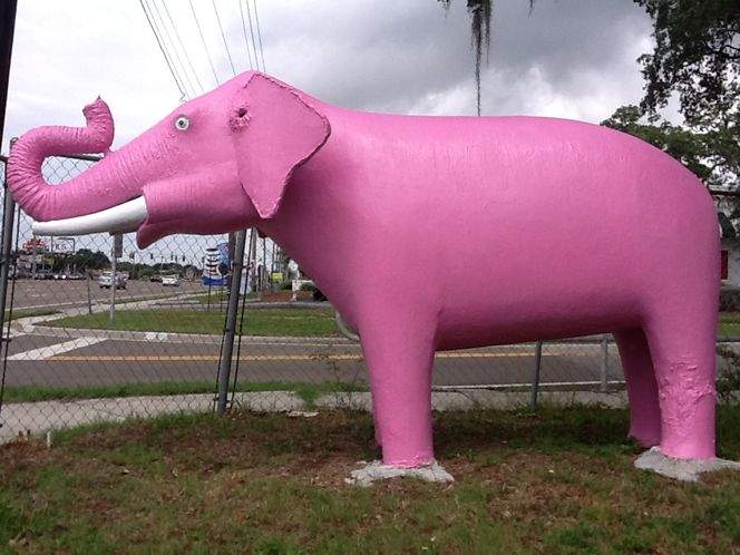 Brandon S Iconic Elephant Camel Sculptures Find Home In Tampa