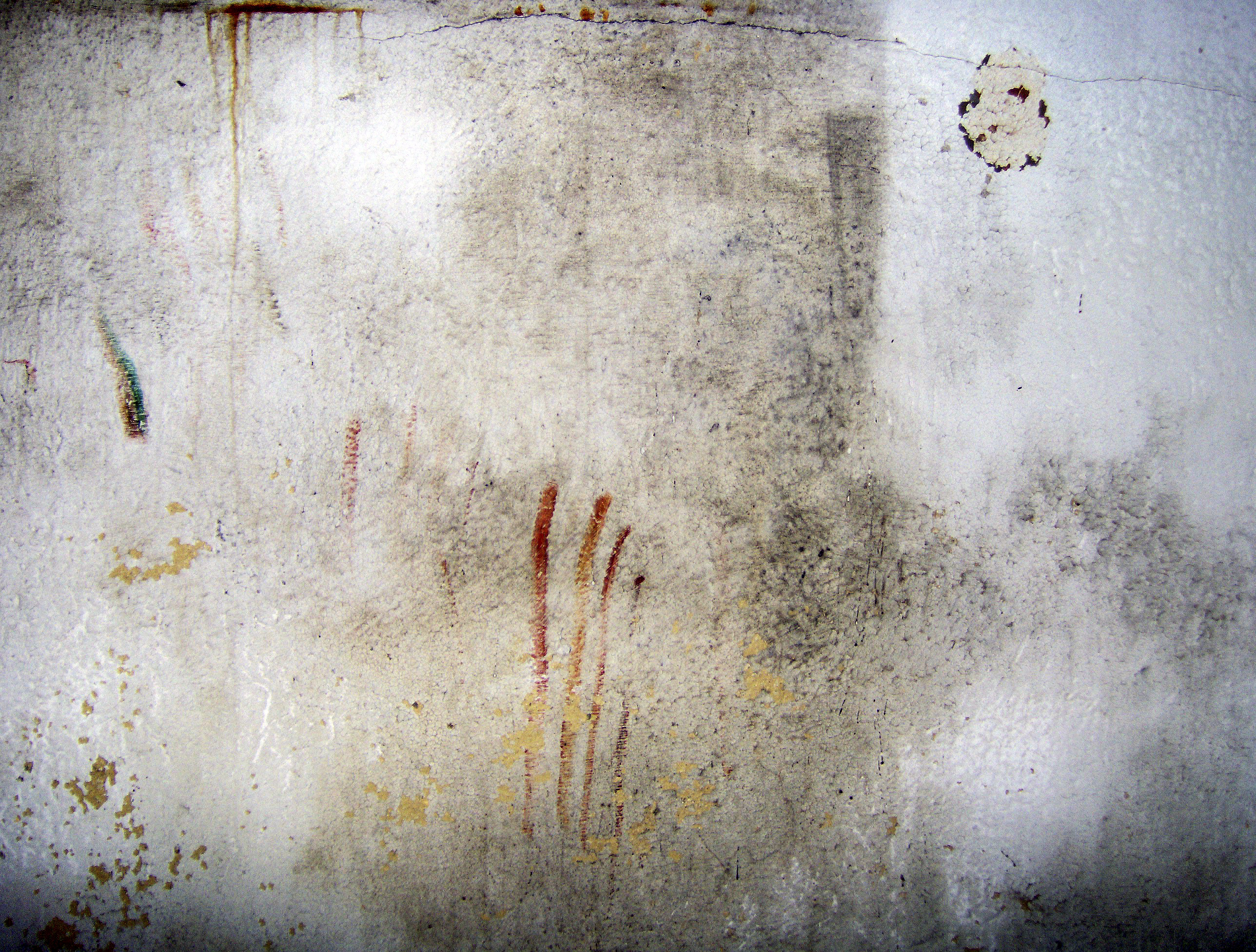 They Went To The Dozier School For Boys Damaged They Came Out Destroyed