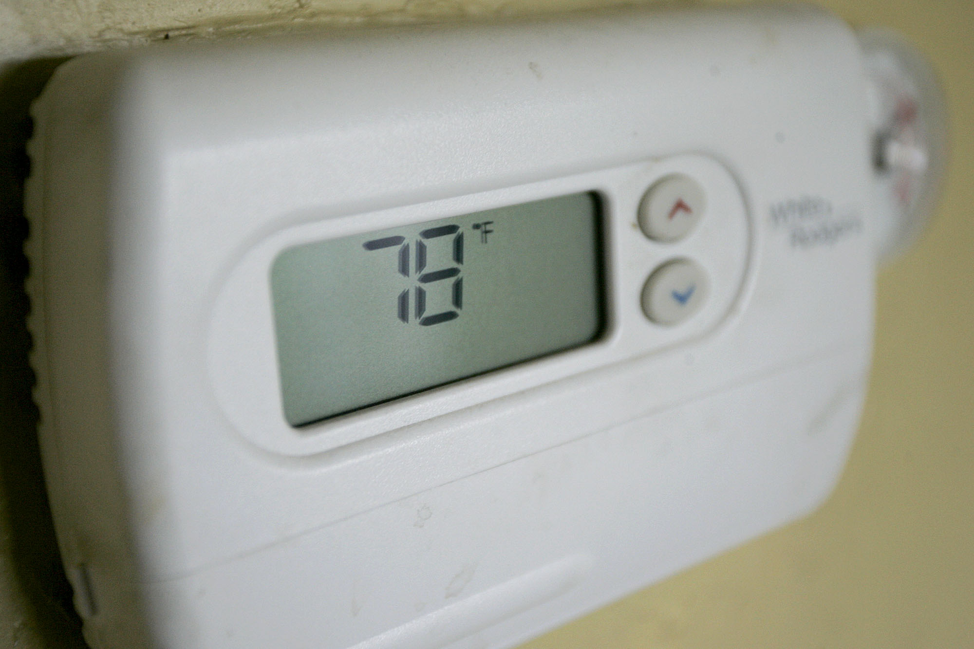 Bordure Type P1 3D Warehouse, 58 OFF gbupresnenskij.ru