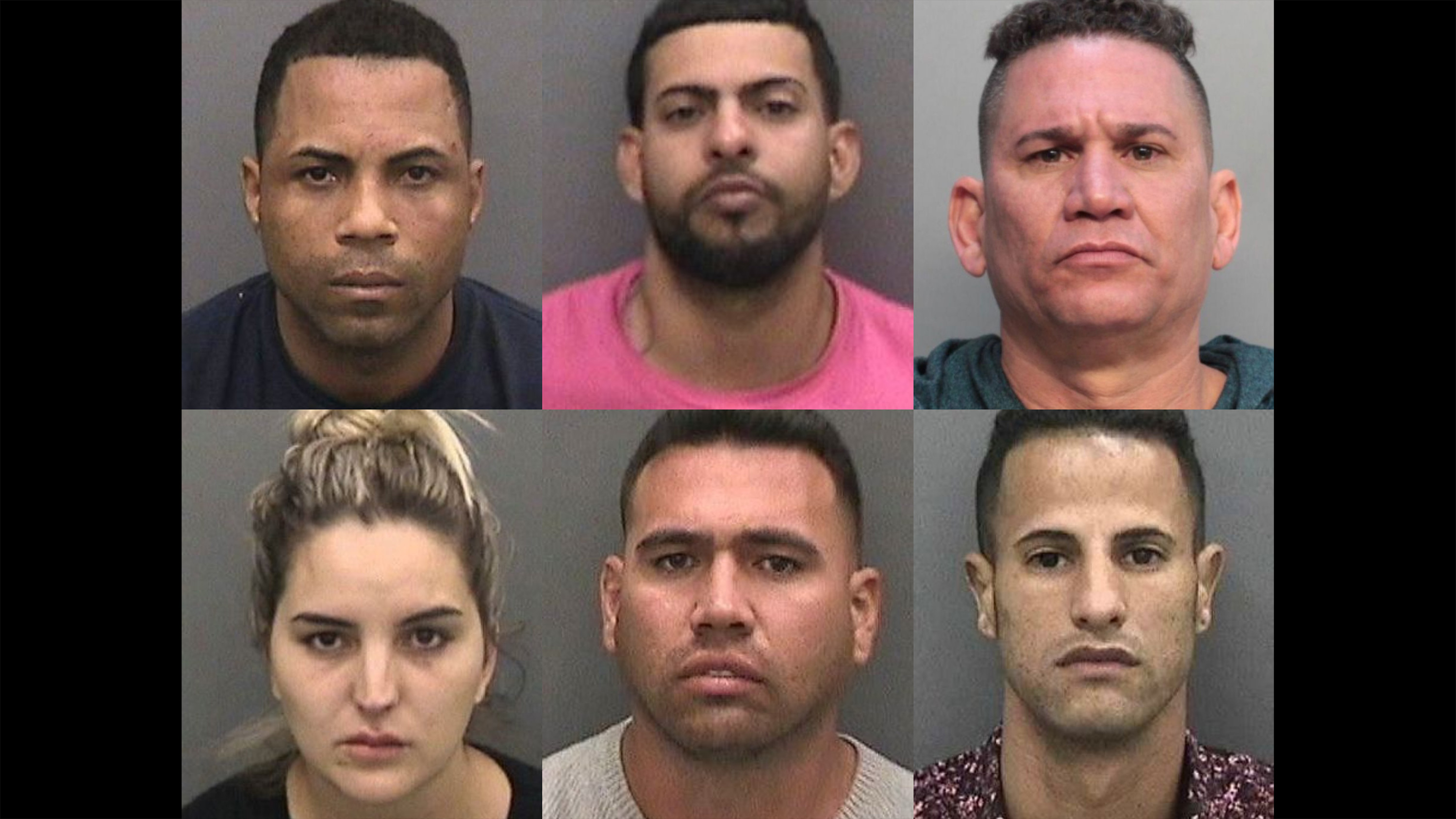 Tampa Bay Mugshots : We are a diverse group of businesses spreading from ti...