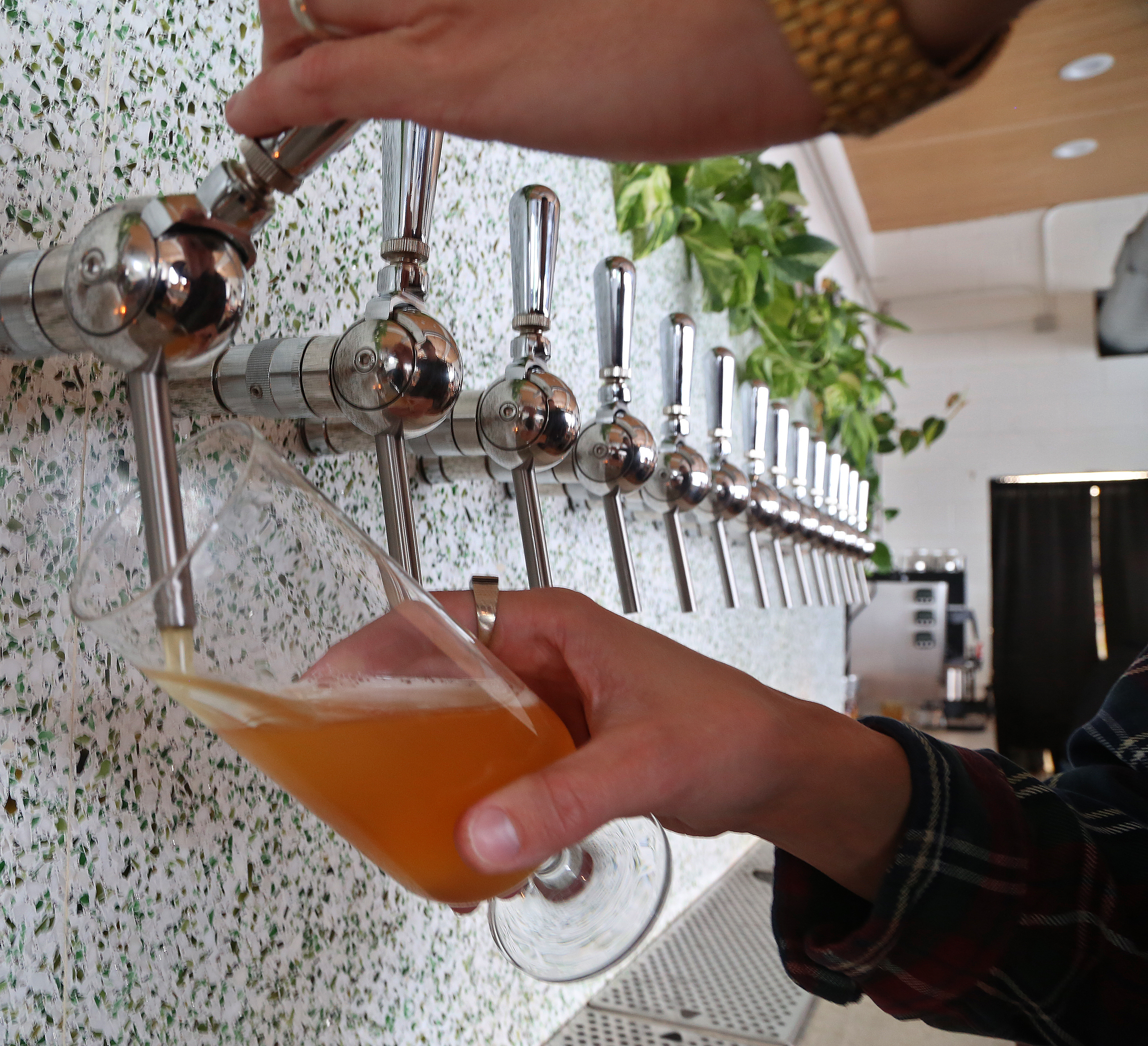 In addition to coffee and food, King State offers beer on tap, some of which they brew themselves. SCOTT KEELER | Times | Tampa Bay Times In addition to coffee and food, King State offers beer on tap, some of which they brew themselves. SCOTT KEELER | Times | Tampa Bay Times