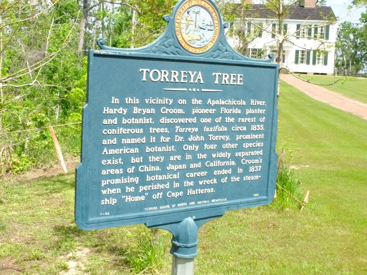 A sign explaining the rare torreya tree at the Gregory House at Torreya State Park north of Bristol. Cathy Salustri | Special to the Times A sign explaining the rare torreya tree at the Gregory House at Torreya State Park north of Bristol. Cathy Salustri | Special to the Times