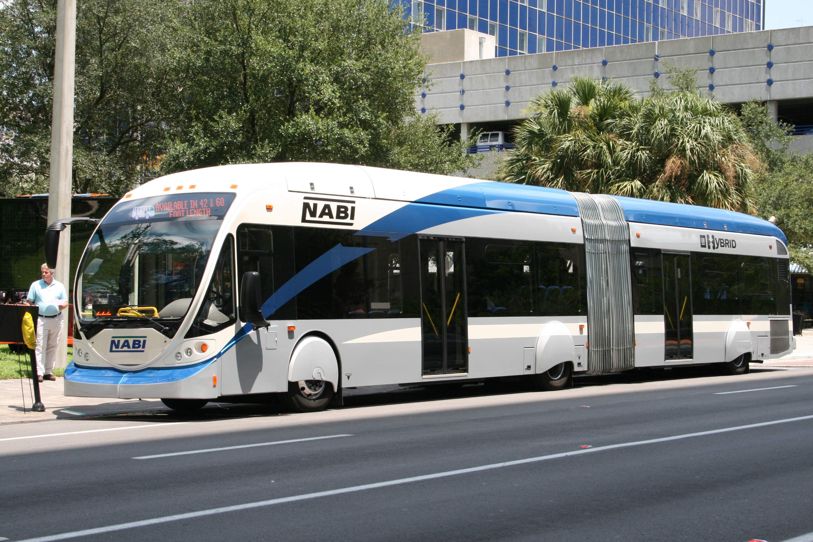 チランジア　チアペンシス　ジャイアントハイブリッド　BRT チランジア チアペンシス ジャイアントハイブリッド BRT 【公式通販】