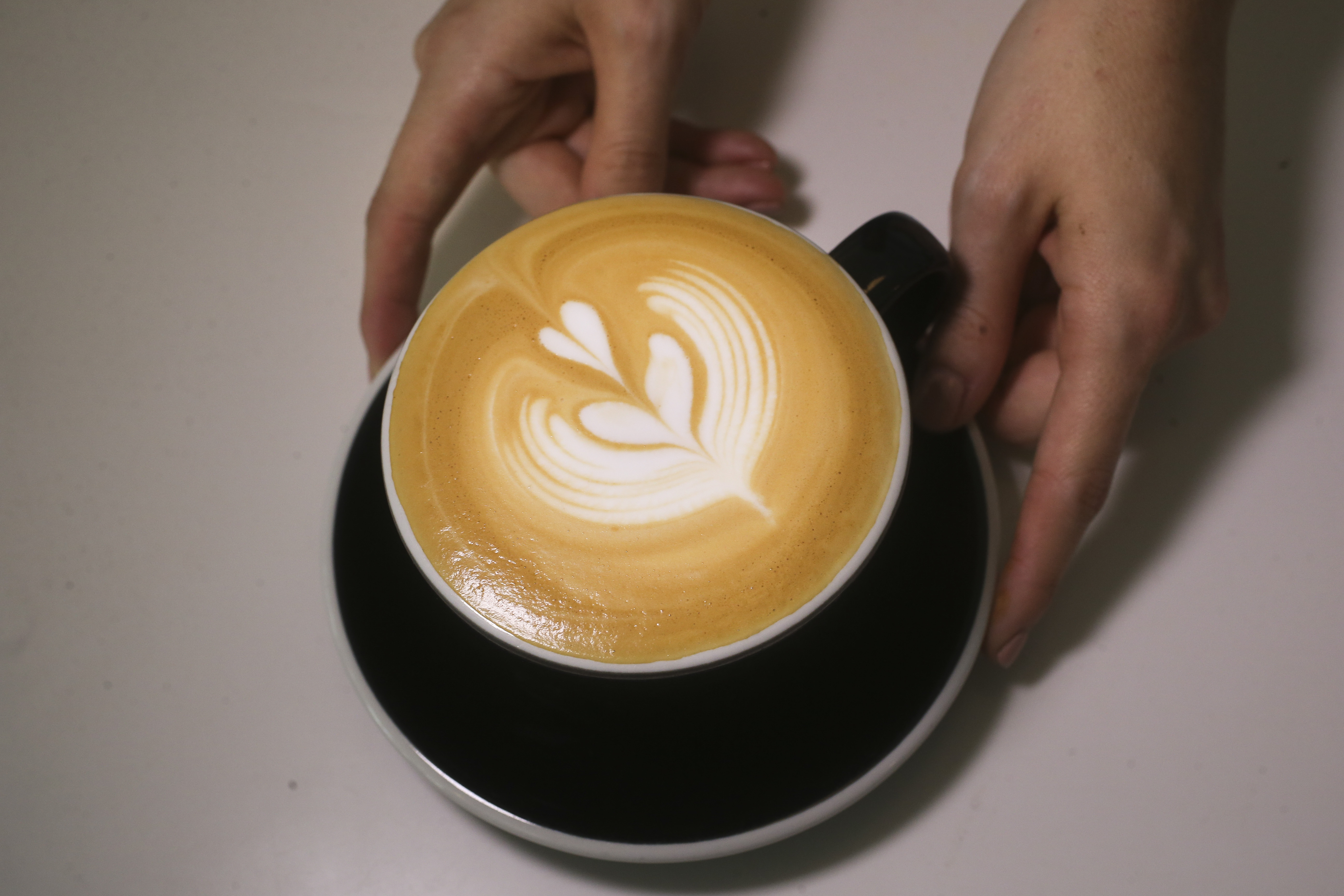 On the coffee side, Bandit serves a simple list of espresso drinks, plus hot and cold brews. DIRK SHADD | Times | Tampa Bay Times On the coffee side, Bandit serves a simple list of espresso drinks, plus hot and cold brews. DIRK SHADD | Times | Tampa Bay Times