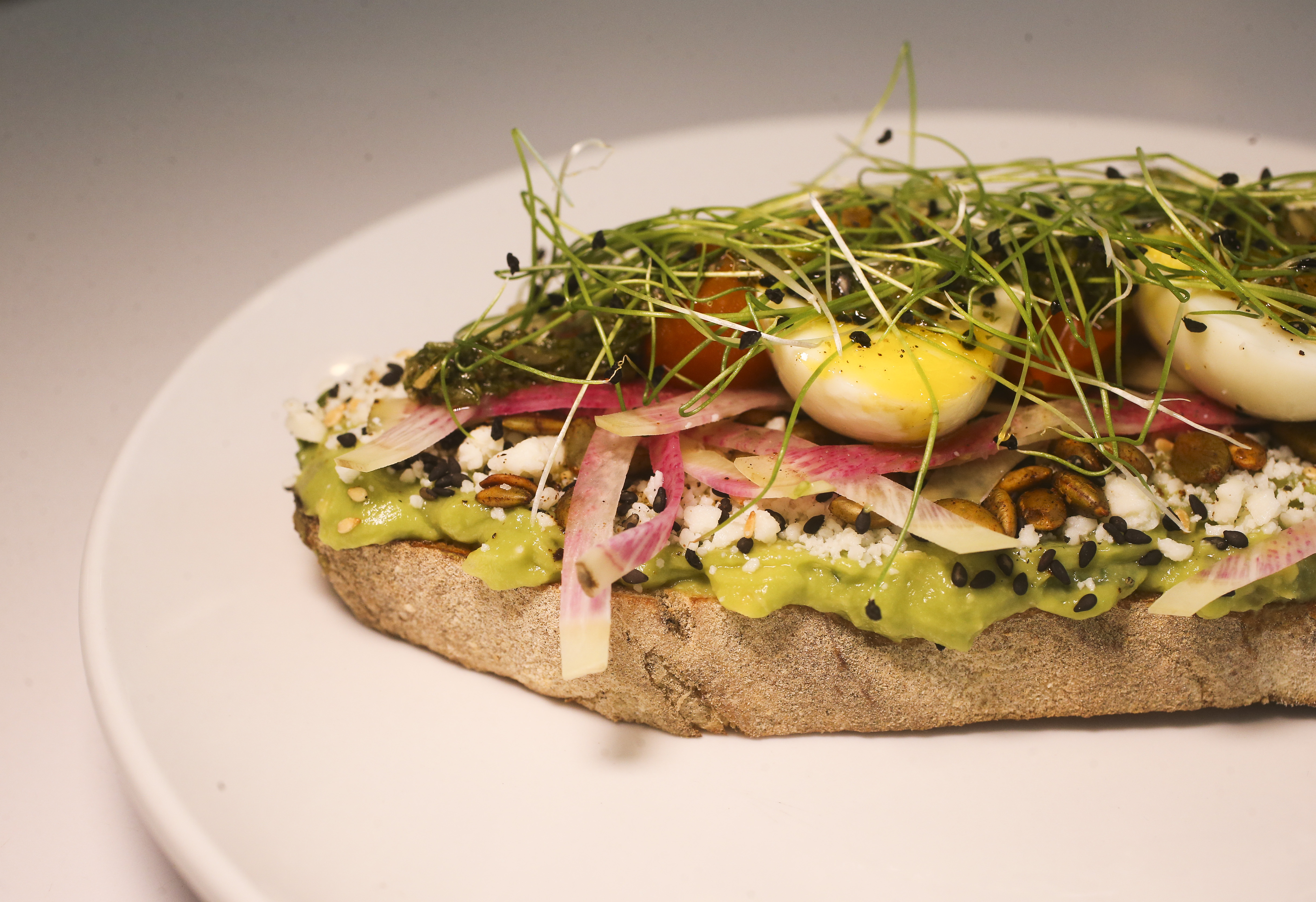 Another offering is the avocado toast, which features guacamole, cotija cheese, dehydrated tomatoes, chimichurri, radishes, seeds and micro greens on sourdough bread. DIRK SHADD | Times | Tampa Bay Times Another offering is the avocado toast, which features guacamole, cotija cheese, dehydrated tomatoes, chimichurri, radishes, seeds and micro greens on sourdough bread. DIRK SHADD | Times | Tampa Bay Times