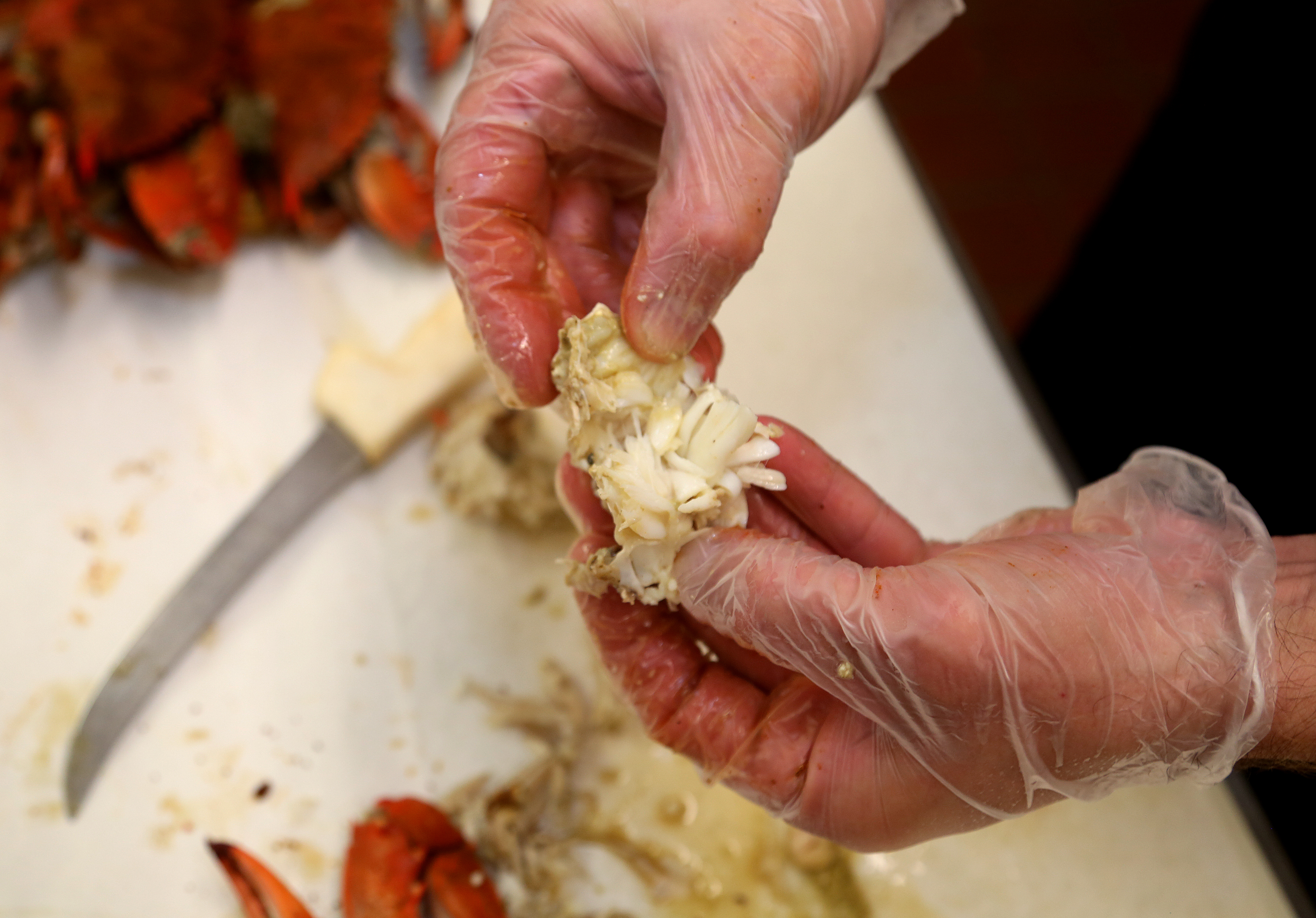 CJ Hnilica, manager of Key West Seafood Company, Gulfport, picks apart blue crab meat at the store, Wednesday, October 2, 2019. SCOTT KEELER | Times CJ Hnilica, manager of Key West Seafood Company, Gulfport, picks apart blue crab meat at the store, Wednesday, October 2, 2019. SCOTT KEELER | Times